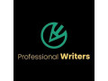 hire-professional-writers-small-0