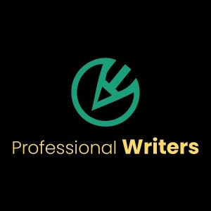 hire-professional-writers-big-0